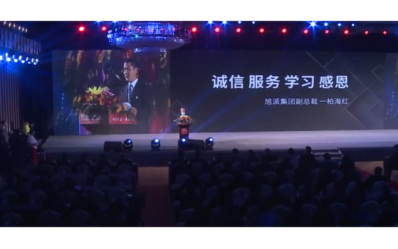 征途国际电池2016年代理商大会柏海红精彩演讲